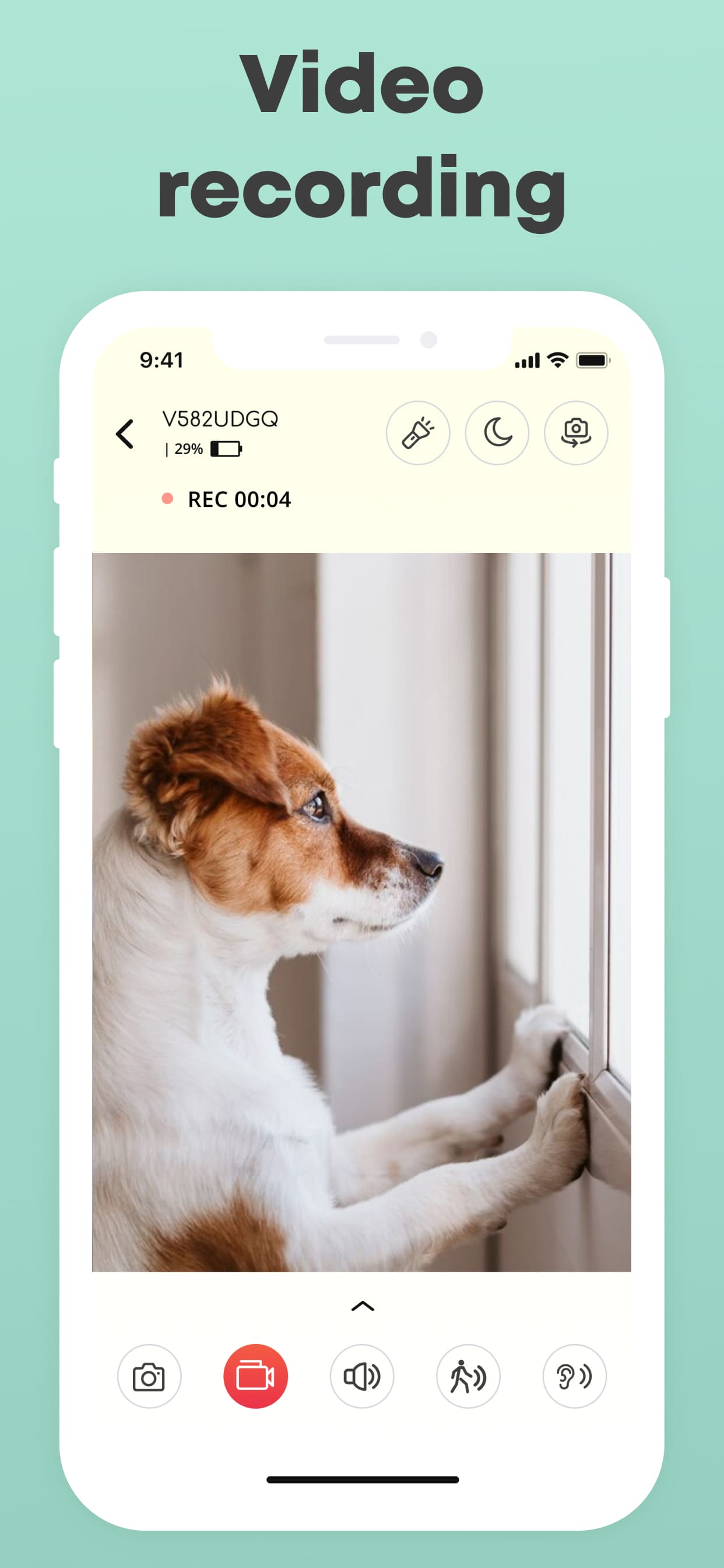 dog monitor camera